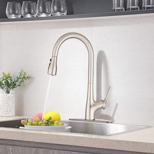 Melo Single-Handle Pull-Down Sprayer Kitchen Faucet with Power Clean in Brushed Nickel