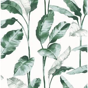 Banana Leaf Teal Matte Vinyl Peel and Stick Wallpaper Sample