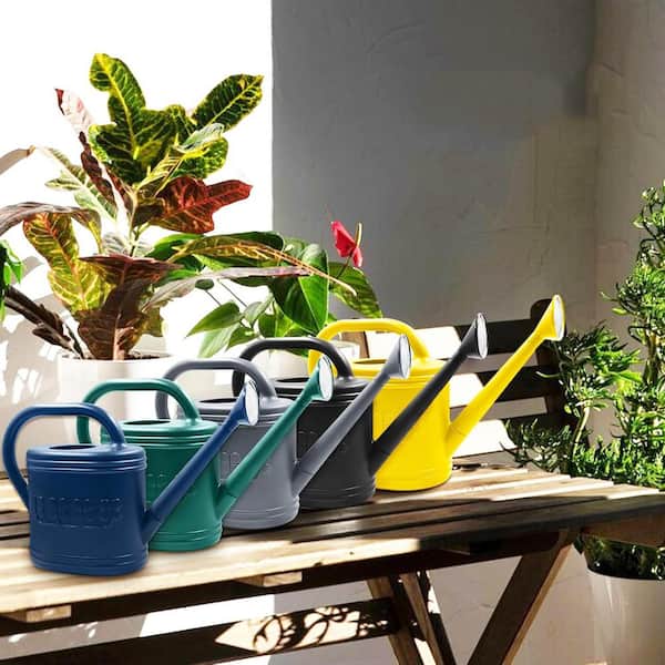 2 gal. Dark Green Plastic Watering Can L0DQNMLB1H - The Home Depot