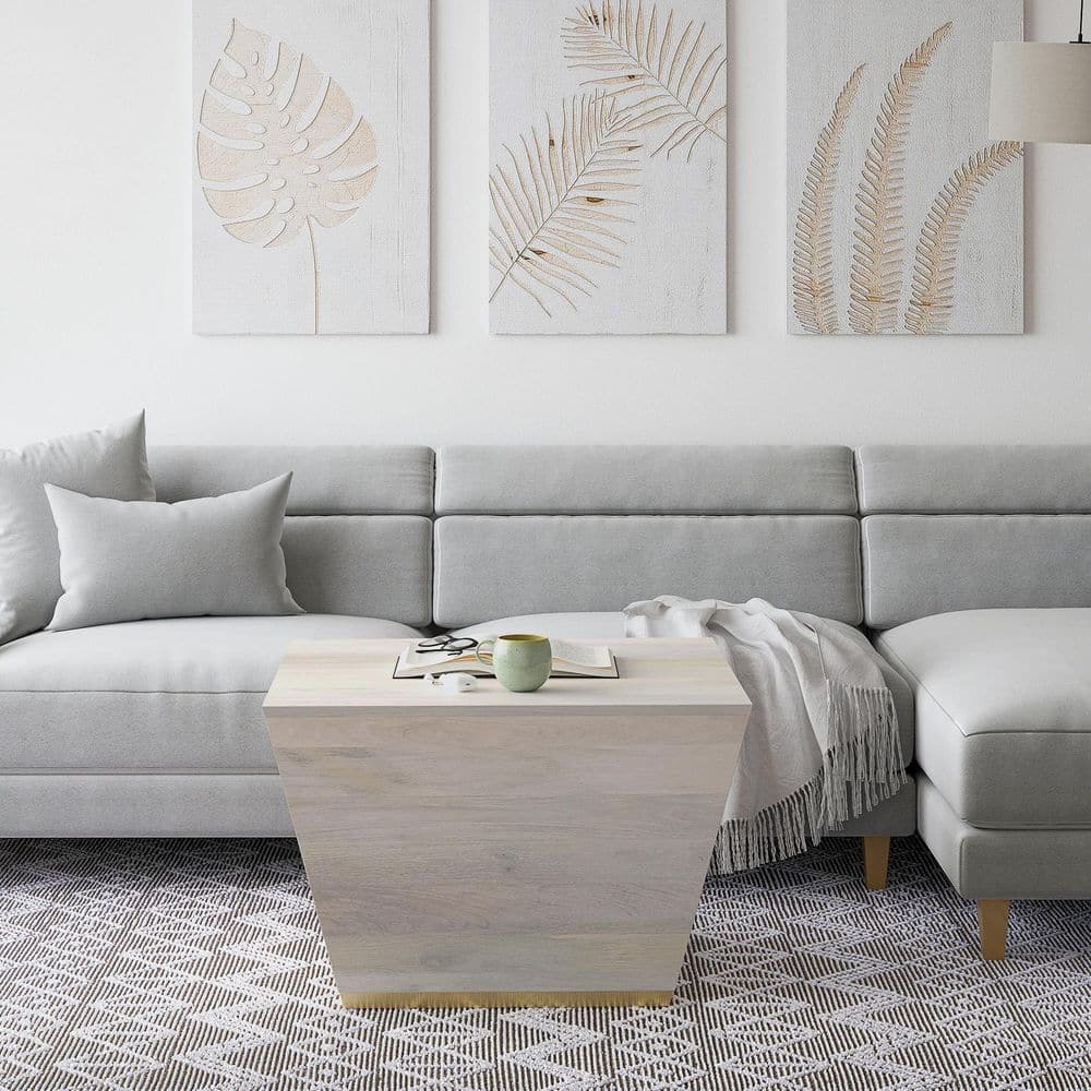 Abba 28" White Wash Mango Wood Square Coffee Table