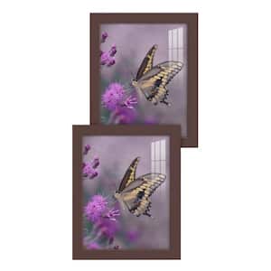 Modern 8 in. x 10 in. Brown Picture Frame (Set of 2)