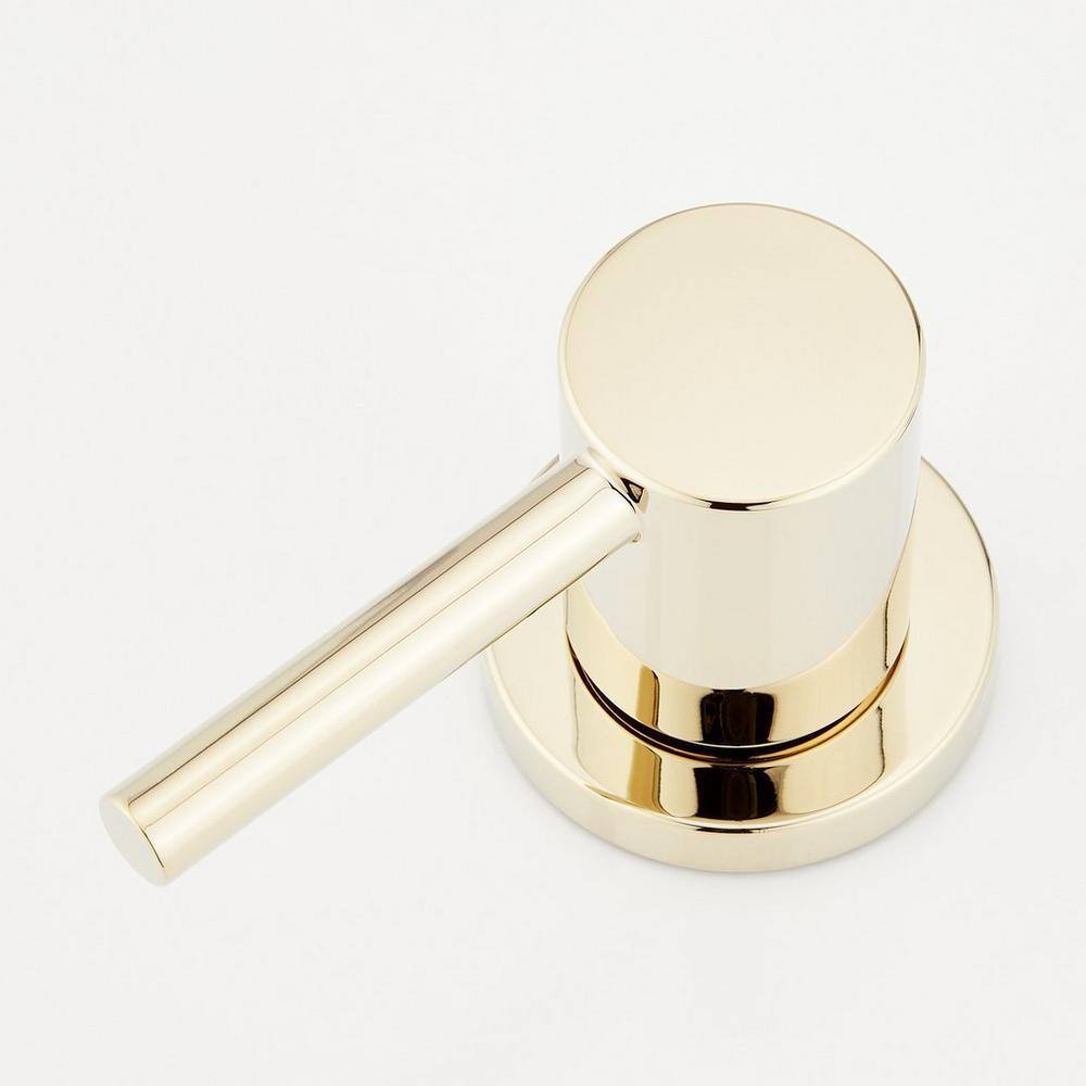 Polished Brass 1.2 GPM Widespread Gooseneck Bathroom Faucet