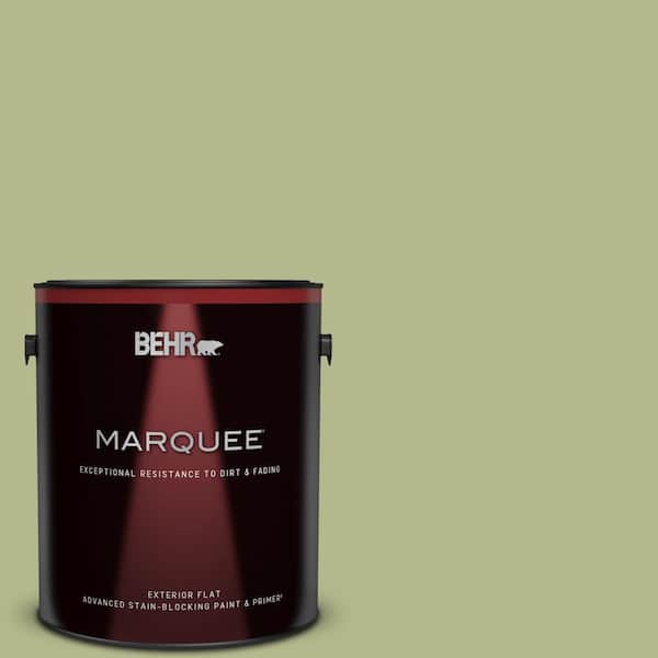 BEHR MARQUEE 1 gal. Home Decorators Collection #HDC-SP14-1 Secret Glade Flat Exterior Paint & Primer