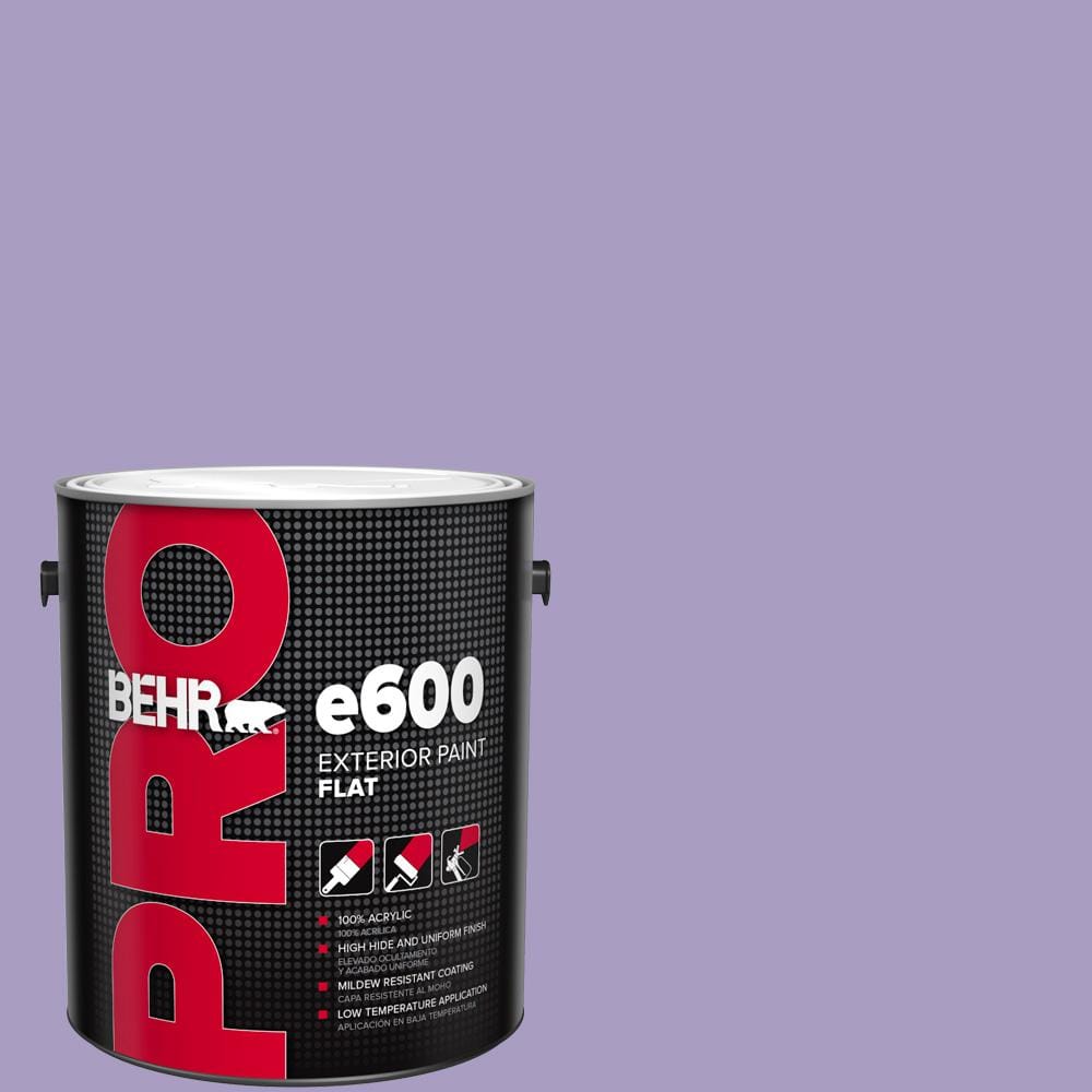 1 gal. #M560-4 Evening Slipper Flat Paint price history on PriceWatchPro