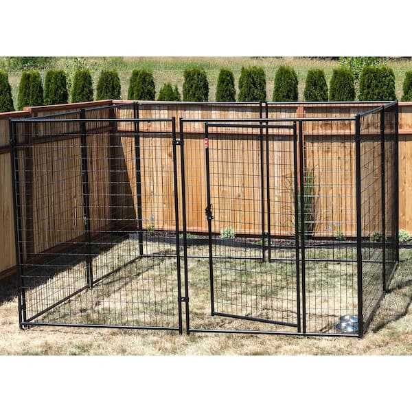 Lucky Dog STAY Series Presidential Dog Kennel 10'x10' with Privacy Screen