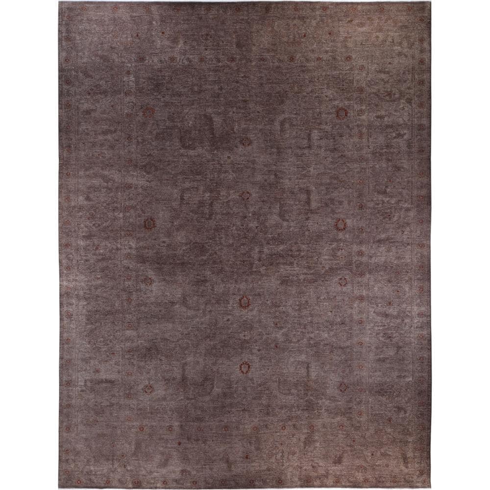 Fine Vibrance Brown 12 X 18 Hand-Knotted Wool Indoor Area Rug price history on PriceWatchPro
