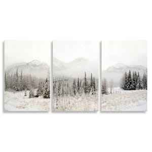 Snowy Countryside Forest Foggy Mountain by Danita Delimont 3-Piece Unframed Print Nature Wall Art 11 in. x 17 in.
