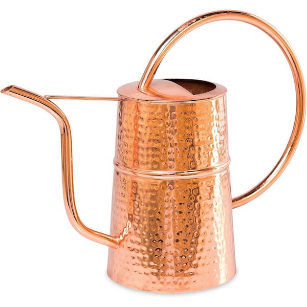 3 Quart Water Capacity Watering Can