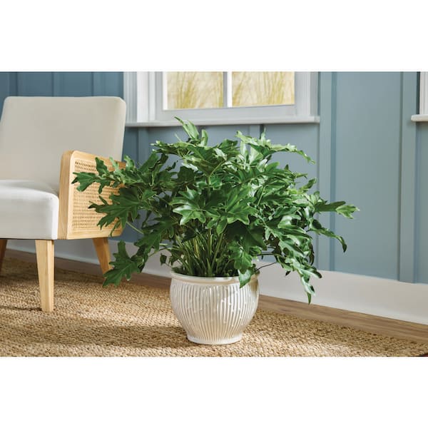 11 in. Corrine Glazed White Ceramic Planter Pot (11 in. D x 8.5 in. H) with Drainage Hole