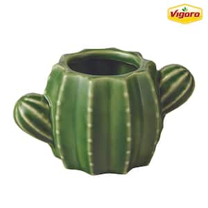 6.7 in. Raker Cactus Small Green Ceramic Pot (6.7 in. D x 3.7 in. H) With Drainage Hole