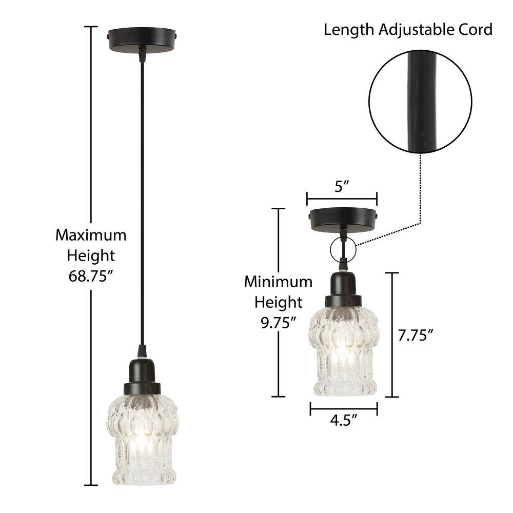 Delphine 4.5" Black and Clear Glass Pendant Light
