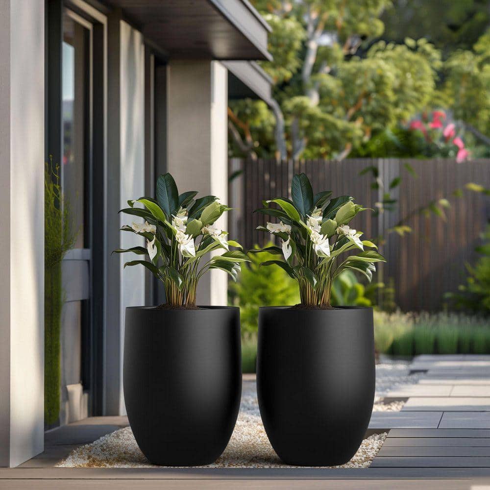 charcoal-black-sapcrete-plant-