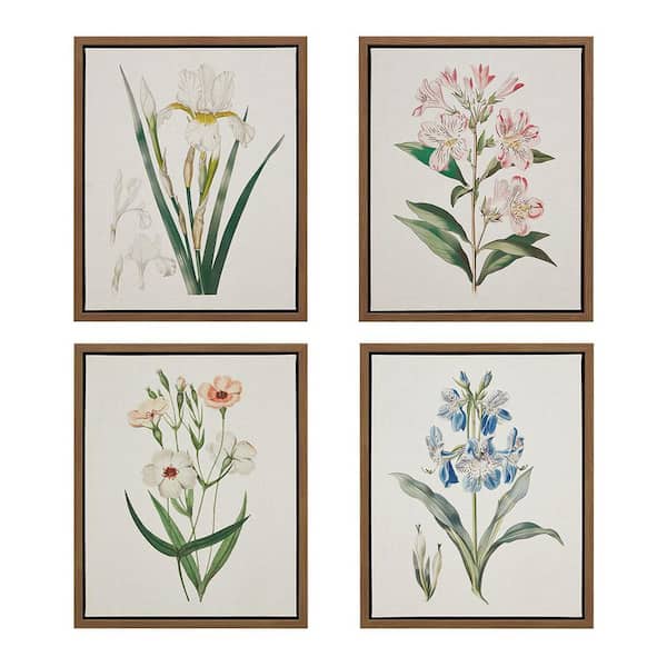 Herbal Botany Illustration Wall Art Set by TESSA KANE 4-Piece Framed Botanical Art Print 21.84 in. x 17.84 in. W