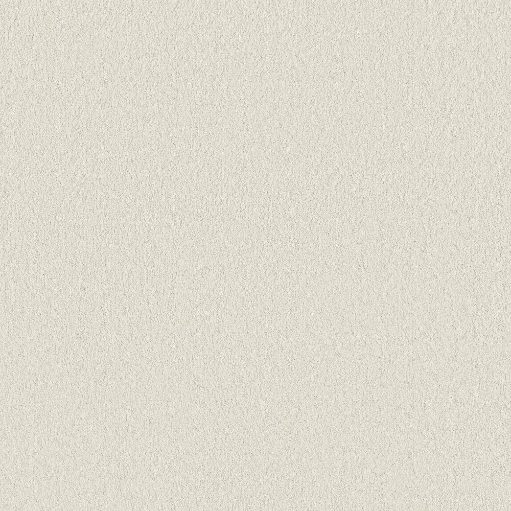 8 in. x 8 in. Texture Carpet Sample - Vignette Velvet II - Color Fluffy Cloud price history on PriceWatchPro