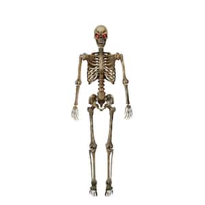 5 ft. Poseable Pitted Skeleton with LED Eyes