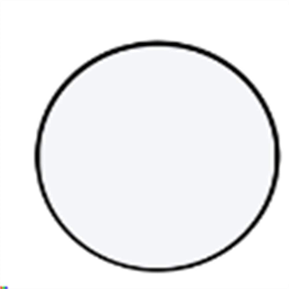 Tempered 28 in. W x 1.10 in. H Wall Circle Mirror, Black Hanging Round Mirr