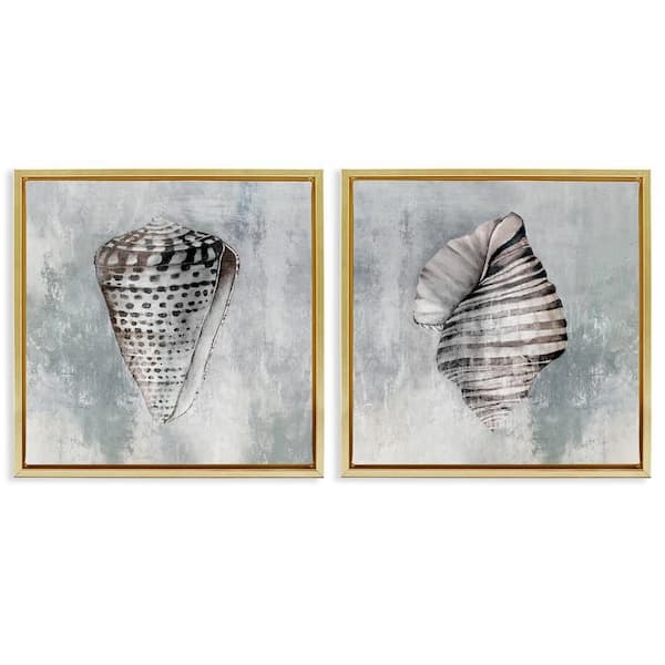 Stupell Industries Grey Distressed Cowrie Shells by Eli Jones 2-Pieces Gold Floater Frame Coastal Graphic Art Print 18 in. x 18 in.