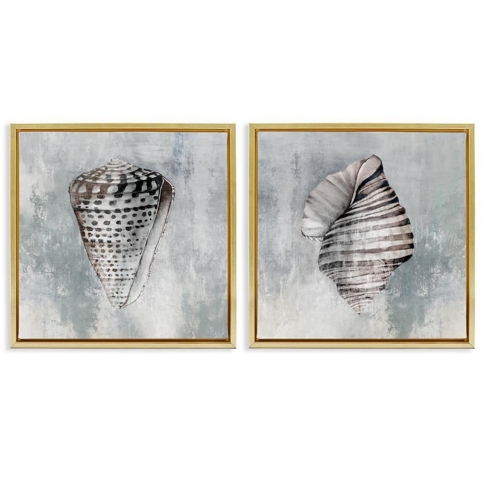 Grey Distressed Cowrie Shells by Eli Jones 2-Pieces Gold Floater Frame Coastal Graphic Art Print 25 in. x 25 in. price history on PriceWatchPro
