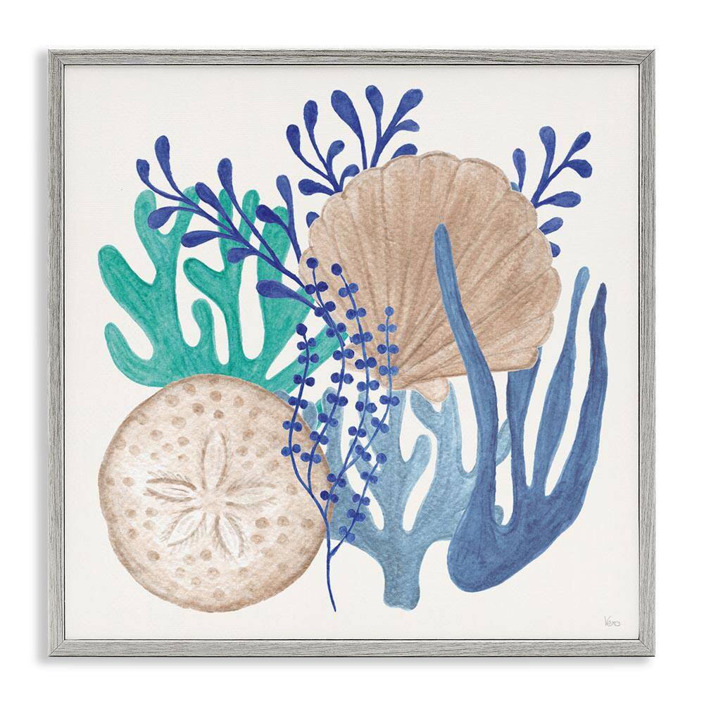 Coastal Sea Life by Veronique Charron Gray Framed Coastal Giclee Art Print 12 in. x 12 in. price history on PriceWatchPro