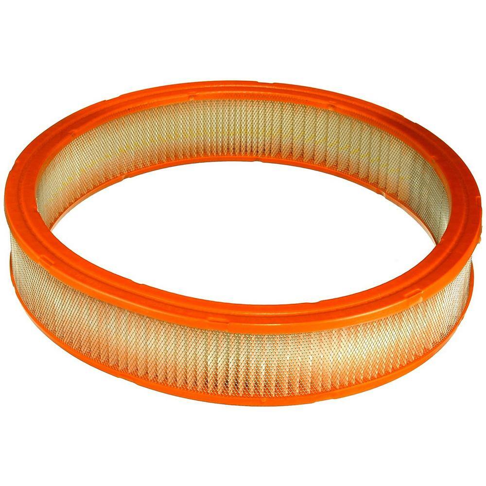 Fram Extra Guard Air Filter CA3648