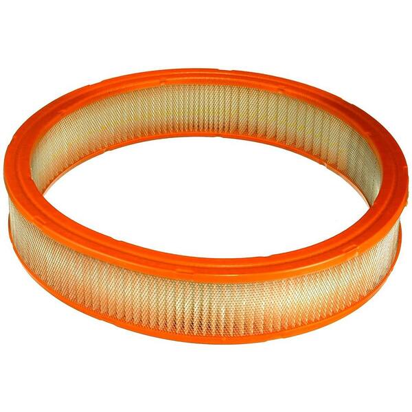 Fram Extra Guard Air Filter Ca3648