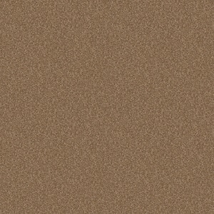 Alpine - Sophistication - Brown 17.3 oz. Polyester Texture Installed Carpet
