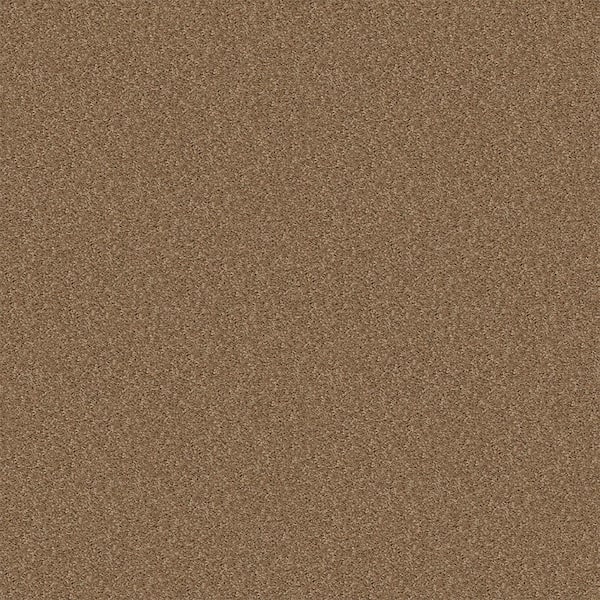 TrafficMaster Alpine - Sophistication - Brown 17.3 oz. Polyester Texture Installed Carpet