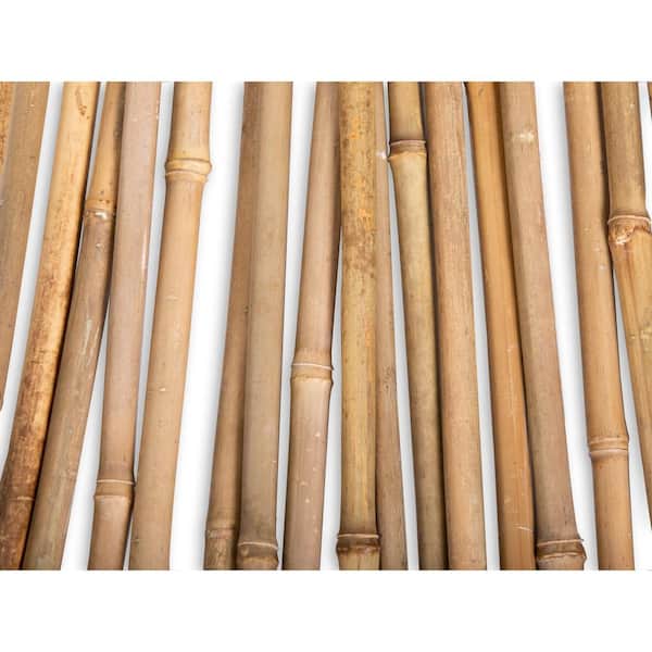 1/2 in. x 6 ft. Natural Bamboo Poles (25-Pack/Bundled)