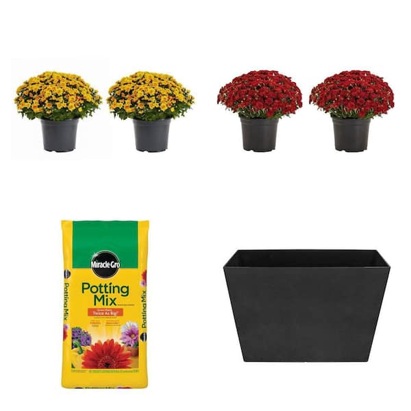 3 Qt. Live Orange Mum Plant (2-Pack), Red Mum Plant (2-Pack), 50 Qt. Potting Mix and 28 in. Self-Watering Trough Planter