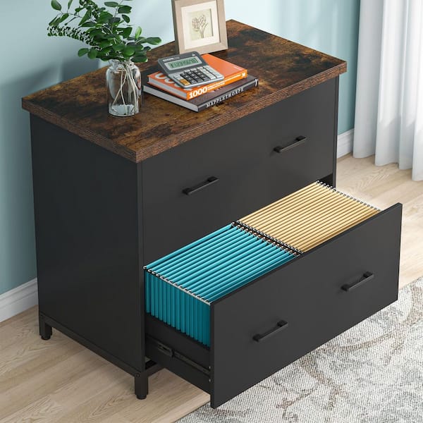 Calvin 2-Drawer Black Wood 30.7 in. Lateral File Cabinet for Letter Size Files, Home Office Filing Cabinet Printer Stand