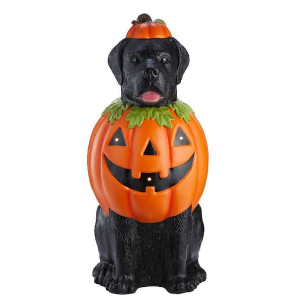 5 Best Solar Lights Led for Outside Home Decor for Halloween: Spooky Glow Ideas