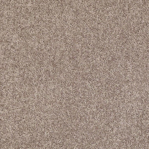 TrafficMaster 8 in. x 8 in. Texture Carpet Sample - Palmdale I - Color Sunwashed Sage