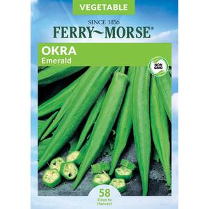 Green Okra Seeds Vegetable Seed - Liveseeds 10 Seeds 