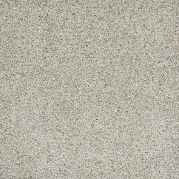 Home Decorators Collection Bradmore II - Mellow - Gray 60 oz. SD Polyester Texture Installed Carpet