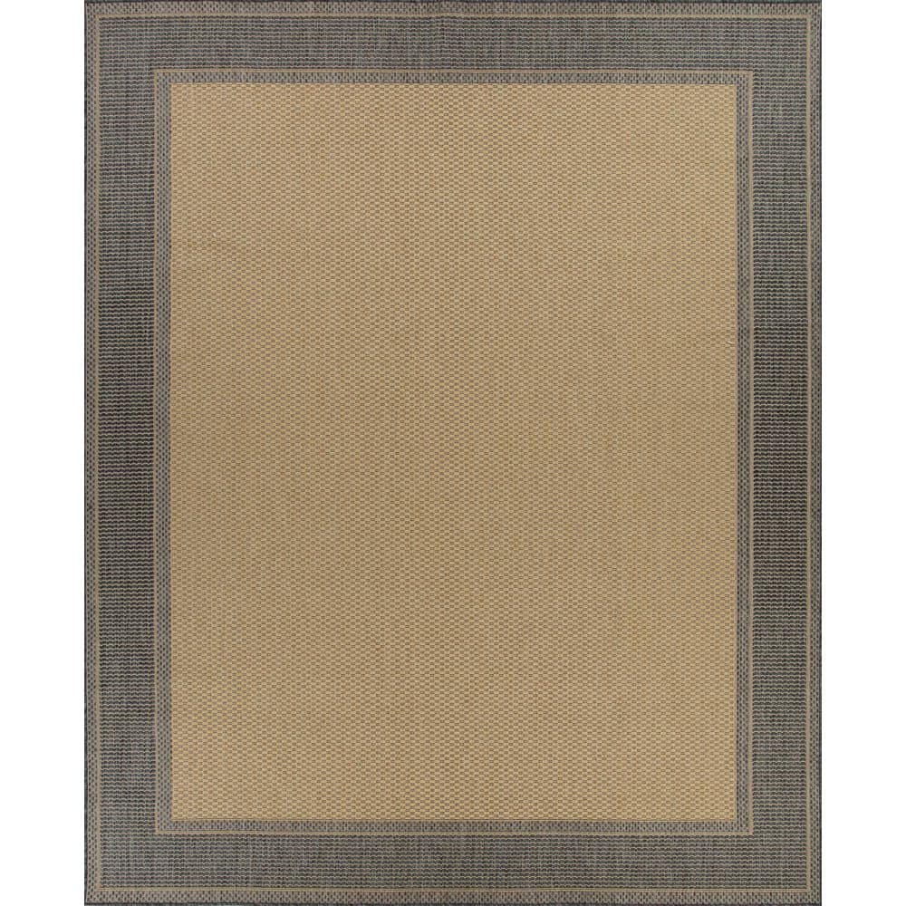 Black/Beige Texture Border 5 ft. x 7 ft. Indoor/Outdoor Area Rug price history on PriceWatchPro