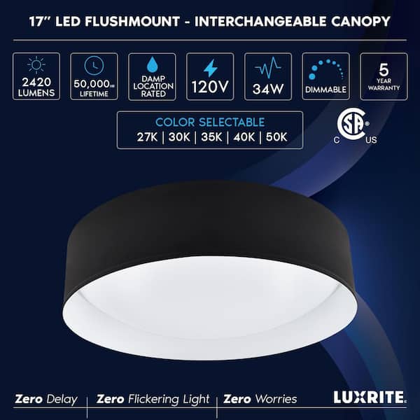 17 in. 1 Light Integrated LED Flush Mount Ceiling Light 34W 5CCT 2700K-5000K 2420LM Interchangeable Canopy Black & White