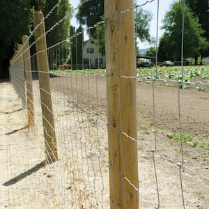 39 in. x 330 ft. Galvanized Steel Field Fence with Class 1 Coating