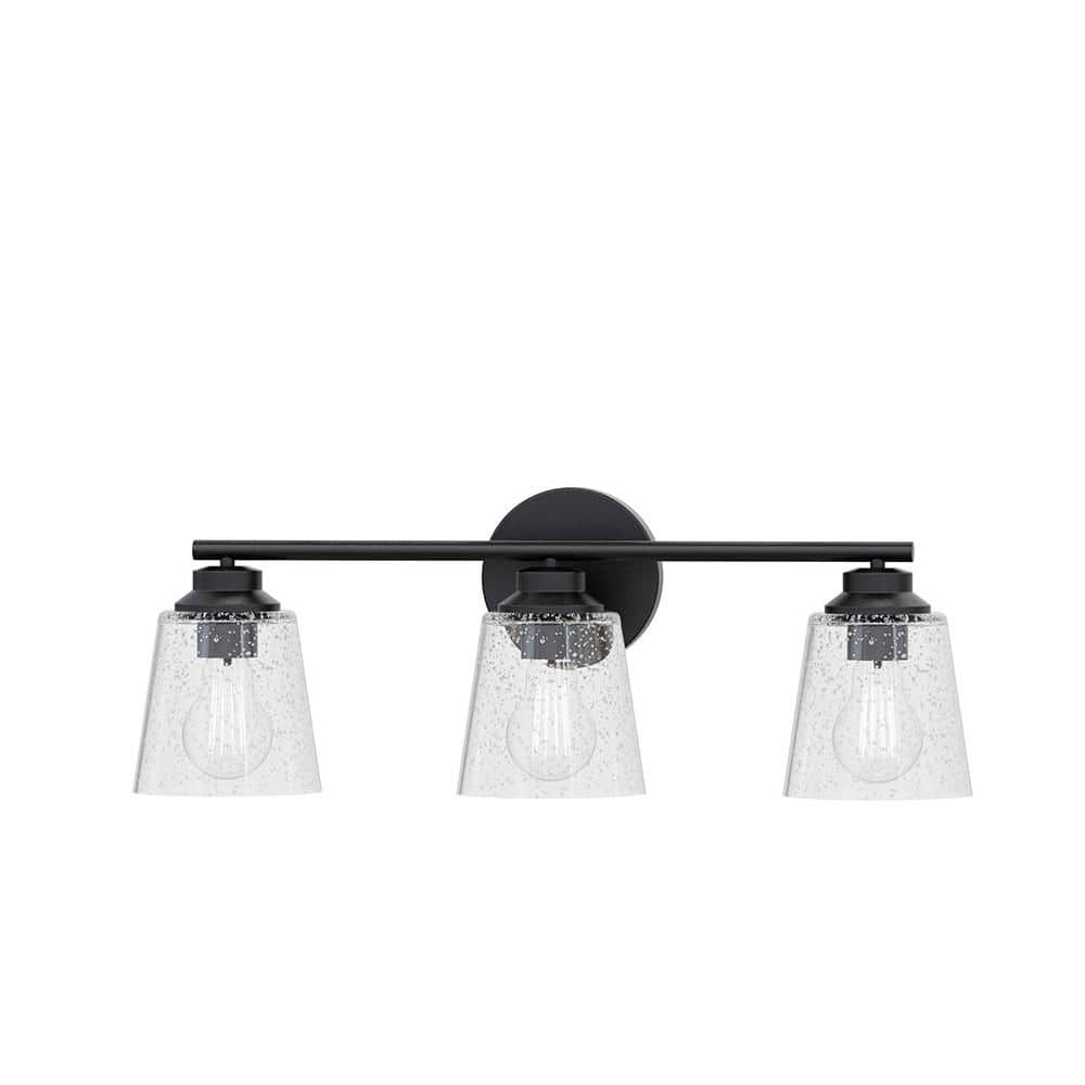 Montford 21.75 in. Plug and Play 3-Light Black Vanity Light with SkyPlug price history on PriceWatchPro