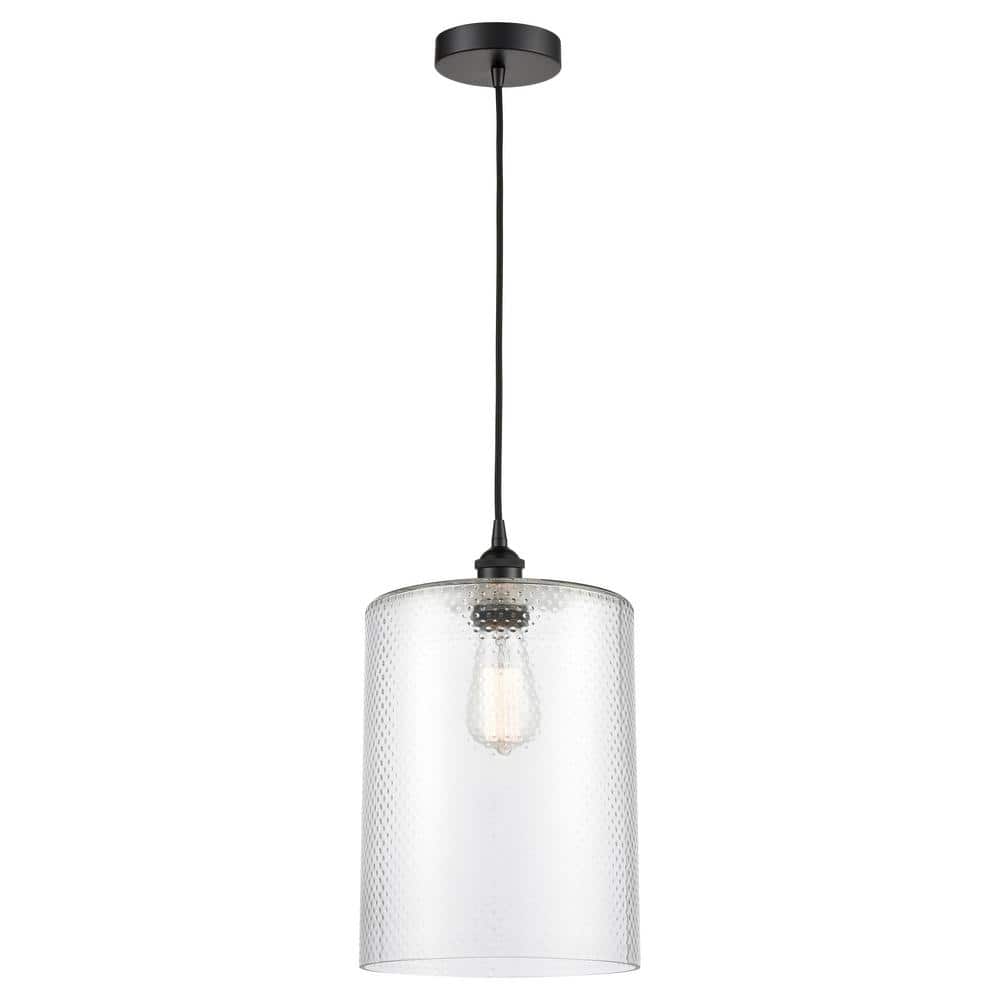 Cobbleskill 60-Watt 1-Light Matte Black Standard Mini Pendant Light with Clear Glass Shade, No Bulbs Included price history on PriceWatchPro