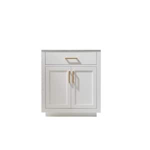 Ivy 29.2 in. W x 21.6 in. D x 33.1 in. H Bath Vanity Cabinet without Top in White