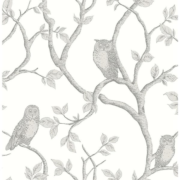 Brewster Enchanted Forest Grey Owl & Tree Grey Wallpaper Sample