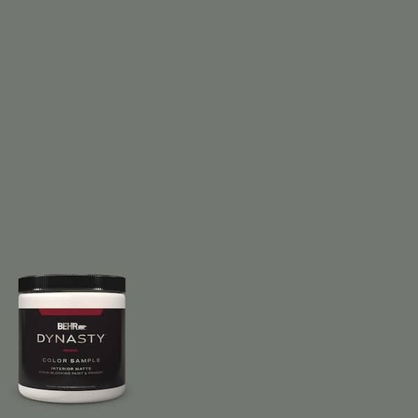 BEHR DYNASTY 8 oz. #T17-13 In the Woods Matte Stain-Blocking Interior/Exterior Paint and Primer Sample