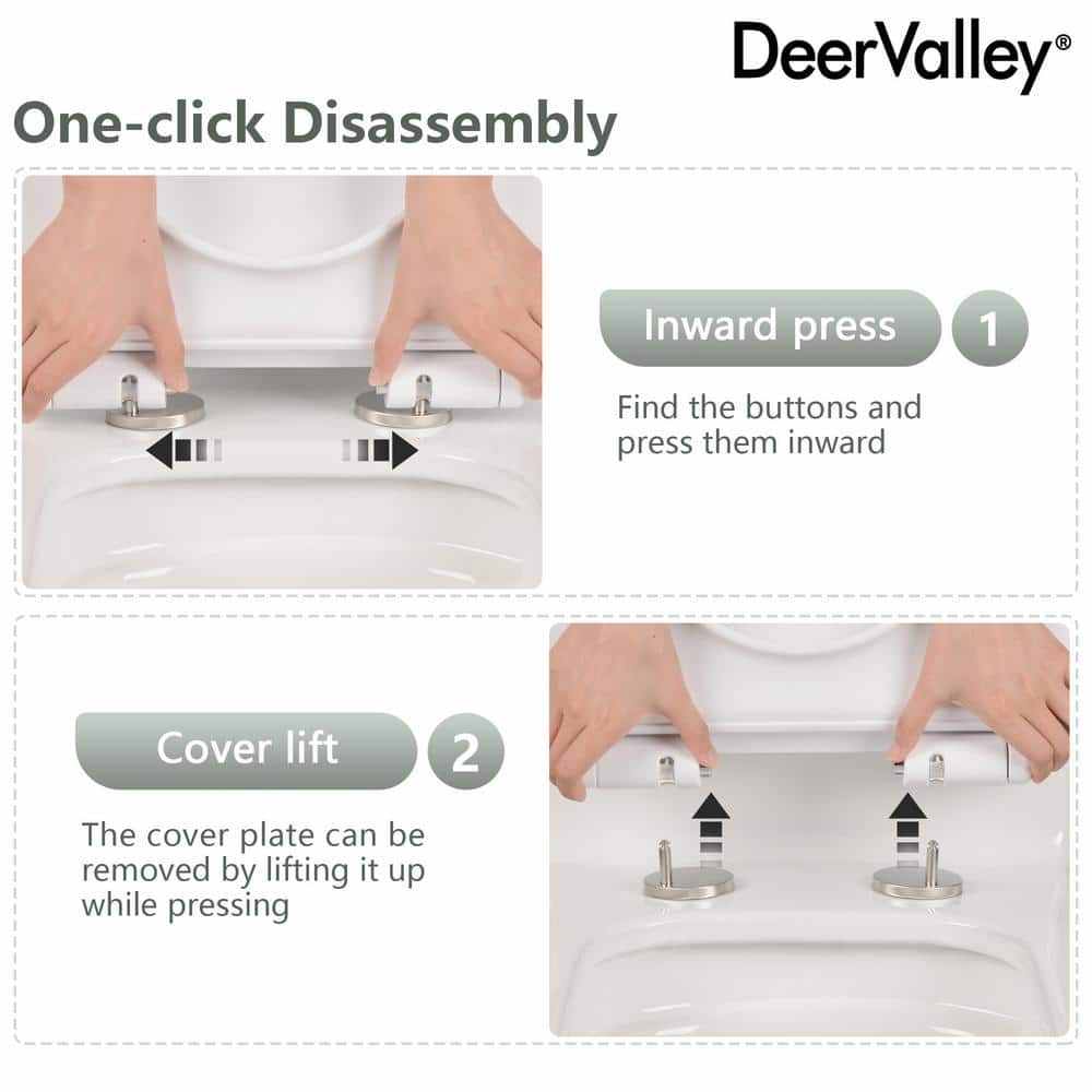 White Elongated Dual-Flush One-Piece Toilet with Silver Button
