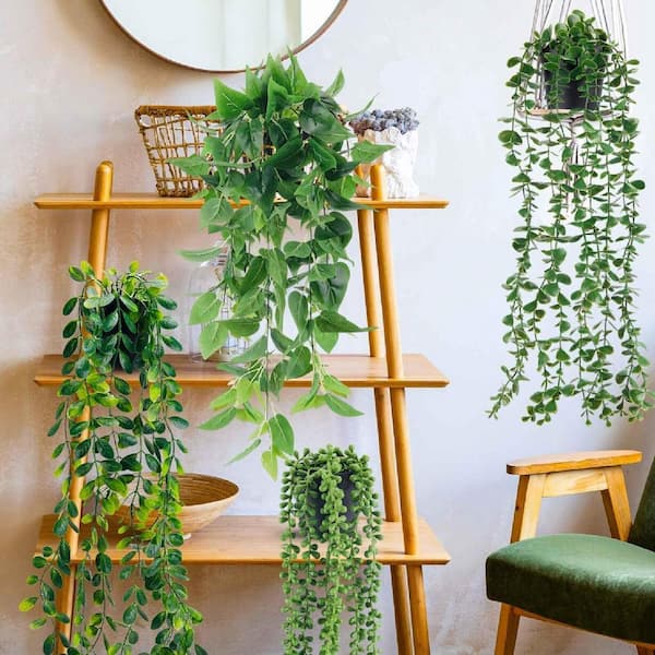 dawn plant Den. Christy Dawn (4