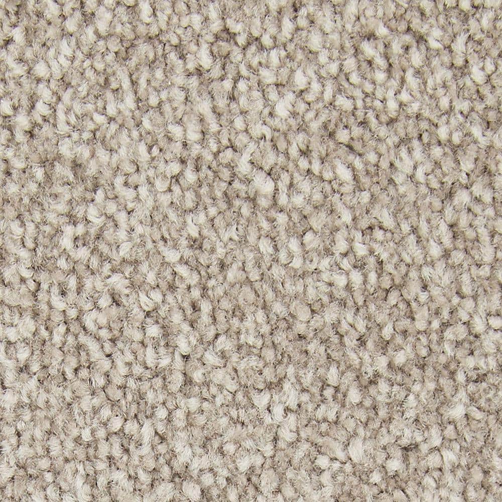 8 in. x 8 in. Texture Carpet Sample - Gentle Peace I -Color Nutria price history on PriceWatchPro