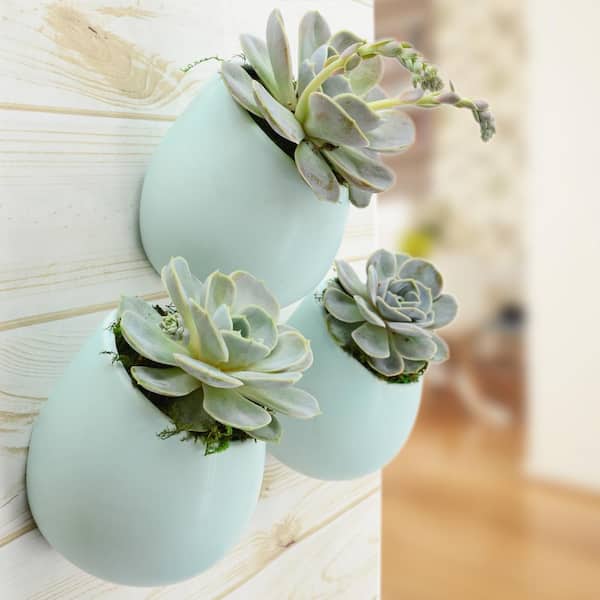 Round 5-1/2 in. x 6 in. Mint Ceramic Wall Planter