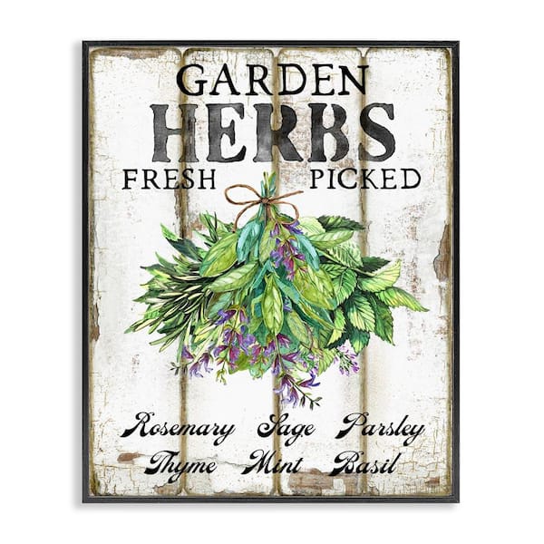 Stupell Industries Fresh Picked Garden Herbs by Creatif Belle Black Framed Food Giclee Art Print 14 in. x 11 in.