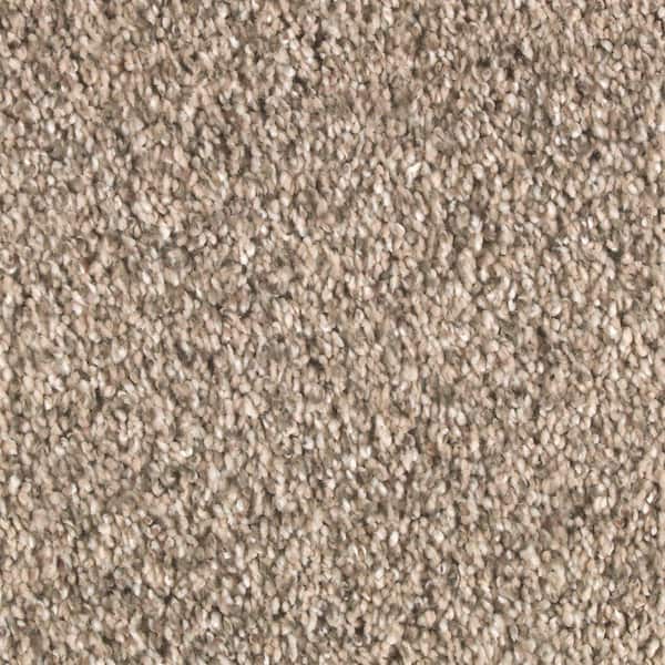 8 in. x 8 in. Texture Carpet Sample - Tidal Pool -Color Ancestral