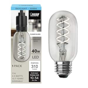 40-Watt Equivalent T14 Dimmable Spiral Filament Clear Glass E26 Vintage Edison LED Light Bulb, Daylight