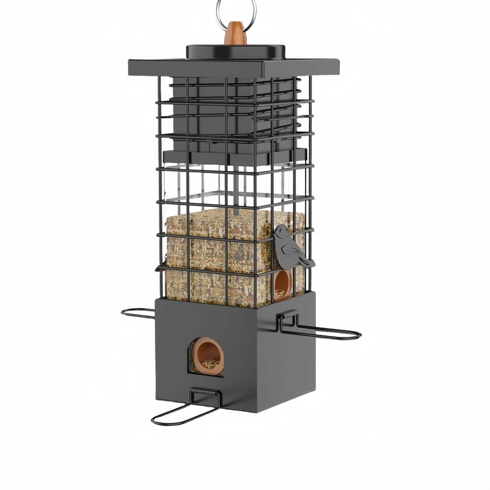 Black Metal 2.5 lbs. Capacity Squirrel Proof Bird Feeder for Wild Bird